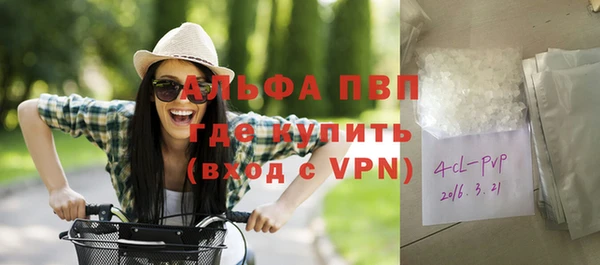 молекула духа Алексин