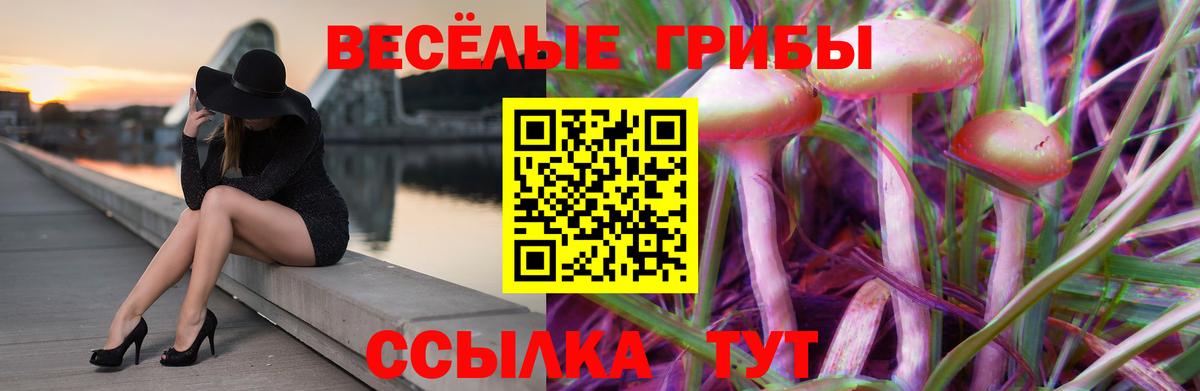 Псилоцибиновые грибы Cubensis Лесной