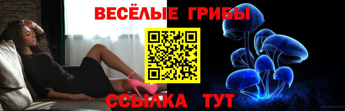 Меф МЯУ МЯУ   МЕТ  ГАШ  Купить наркотик  Вход с VPN  Лесной  МДМА  Гашиш  COCAIN  A-PVP СК кристаллы 